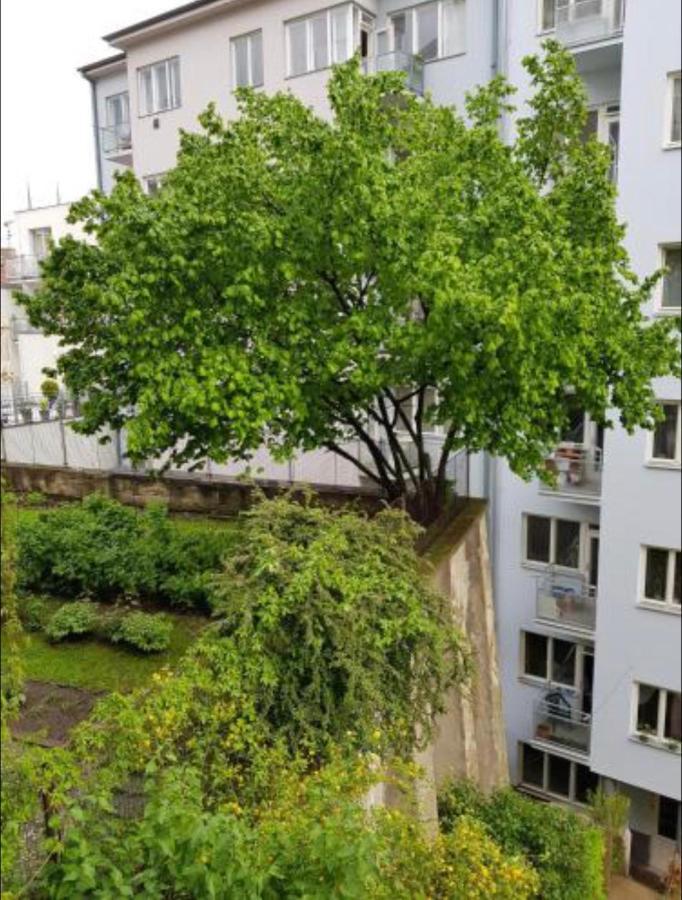 Old Town Apartment Pellicova Брно Экстерьер фото