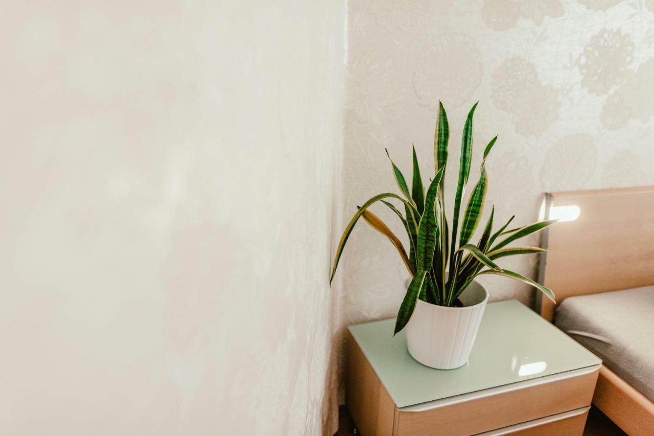 Old Town Apartment Pellicova Брно Экстерьер фото