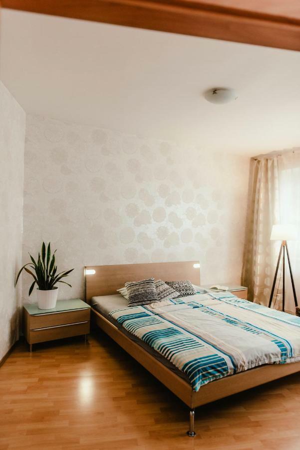Old Town Apartment Pellicova Брно Экстерьер фото