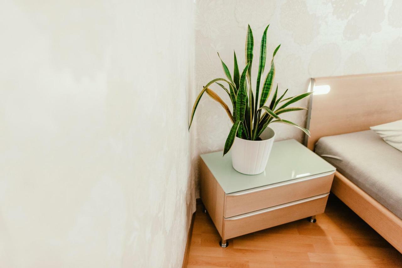 Old Town Apartment Pellicova Брно Экстерьер фото